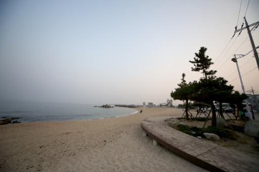 사천진해변 6