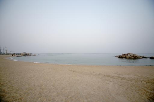 사천진해변 9