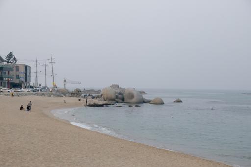 사천진해변 10